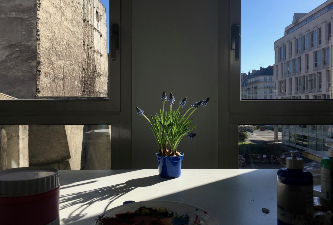 atelier blauwe druif